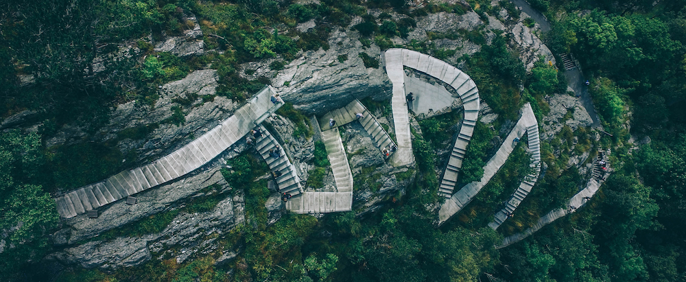 A pathway cutting through a mountain-side forest