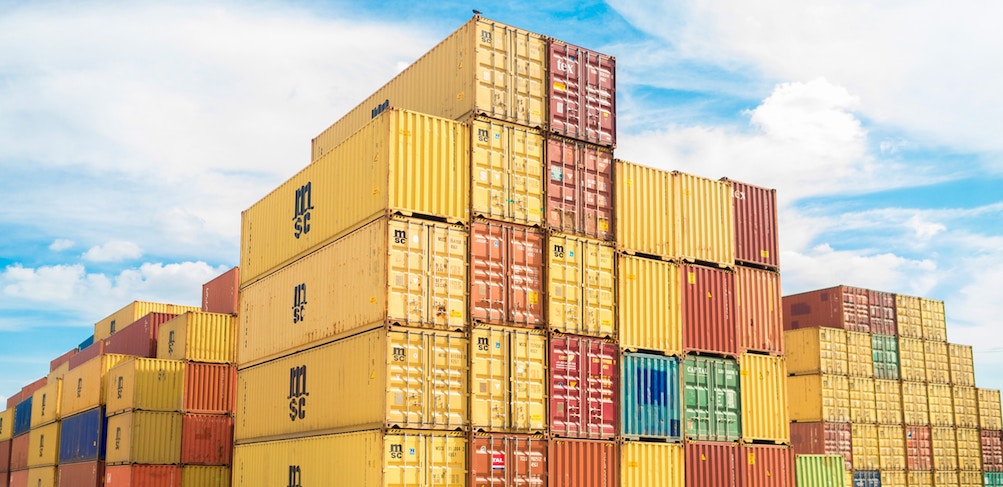 A bird sits atop a giant stack of shipping crates