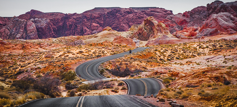 Windy road in the country