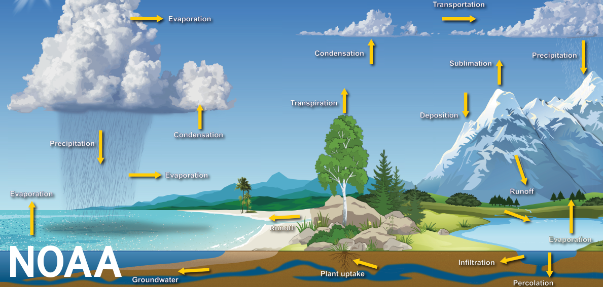 Diagram of the water cycle